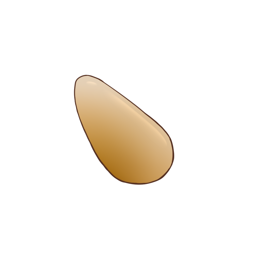 잣